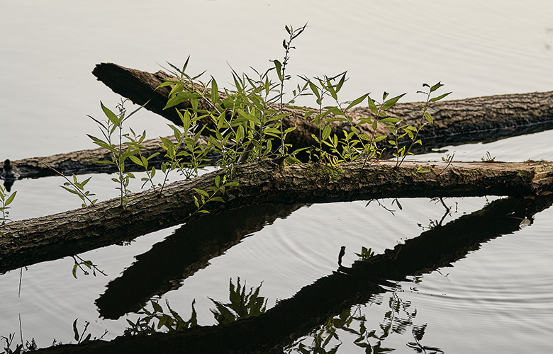 Wirtshaus Anetseder - Außenbereich